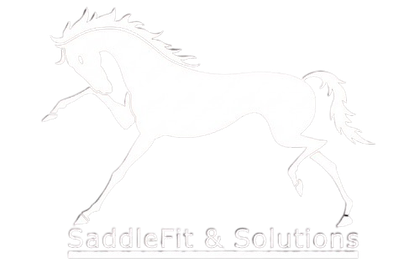 Outline of a running horse, with "SaddleFit & Solutions" text below.