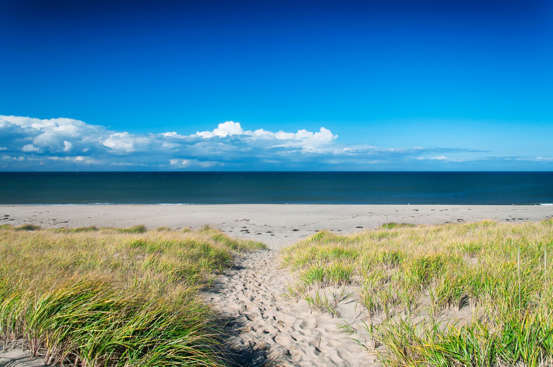 There is a path leading to the beach and the ocean.