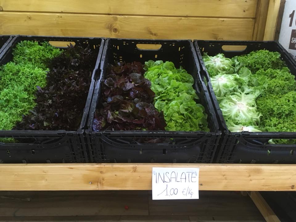 Insalata fresca