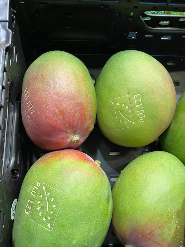 Mango fresco e maturo