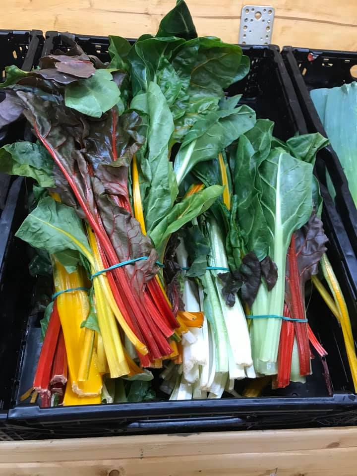 Verdura fresca e colorata