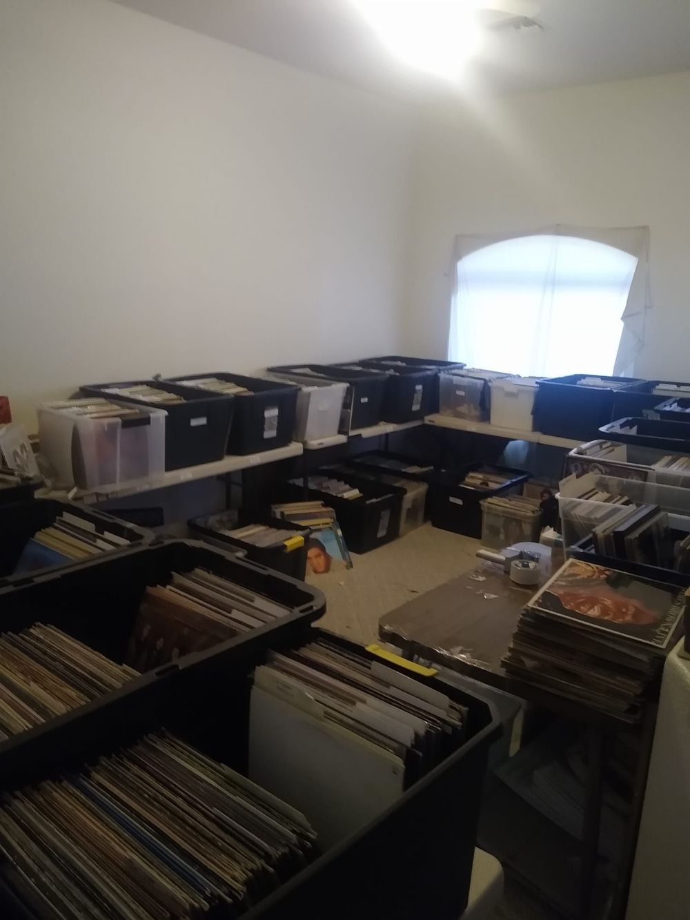 Spare room lined with bins of sorted vinyl records ready to be graded and listed