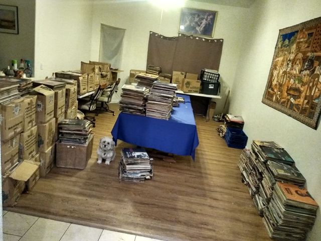 Boxes and stacks of records from one large collection filling a room, with a small dog sitting in the middle