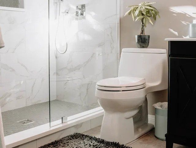 Modern bathroom with glass shower, white toilet, and a small plant on the tank
