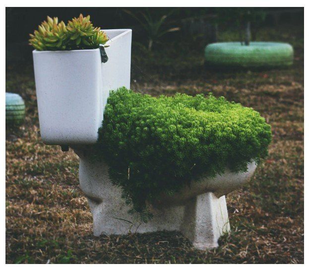 White toilet planter with green succulents in a garden, with grass growing from the bowl and seat area