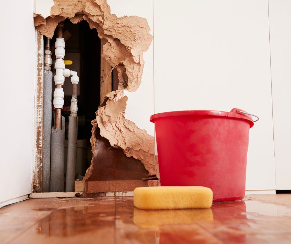 Damaged wall with exposed pipes, red bucket, and sponge on a wooden floor
