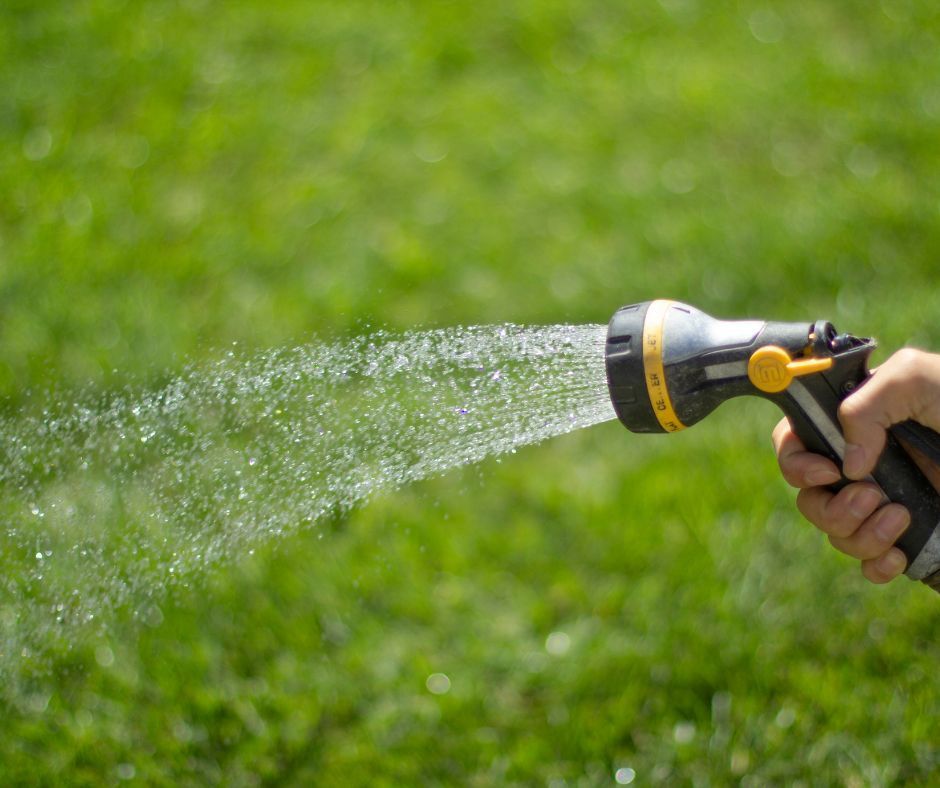 Hand holding a garden hose nozzle spraying water over green grass