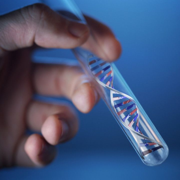 DNA & Paternity Testing