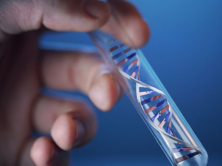 DNA & Paternity Testing DNA & Paternity Testing