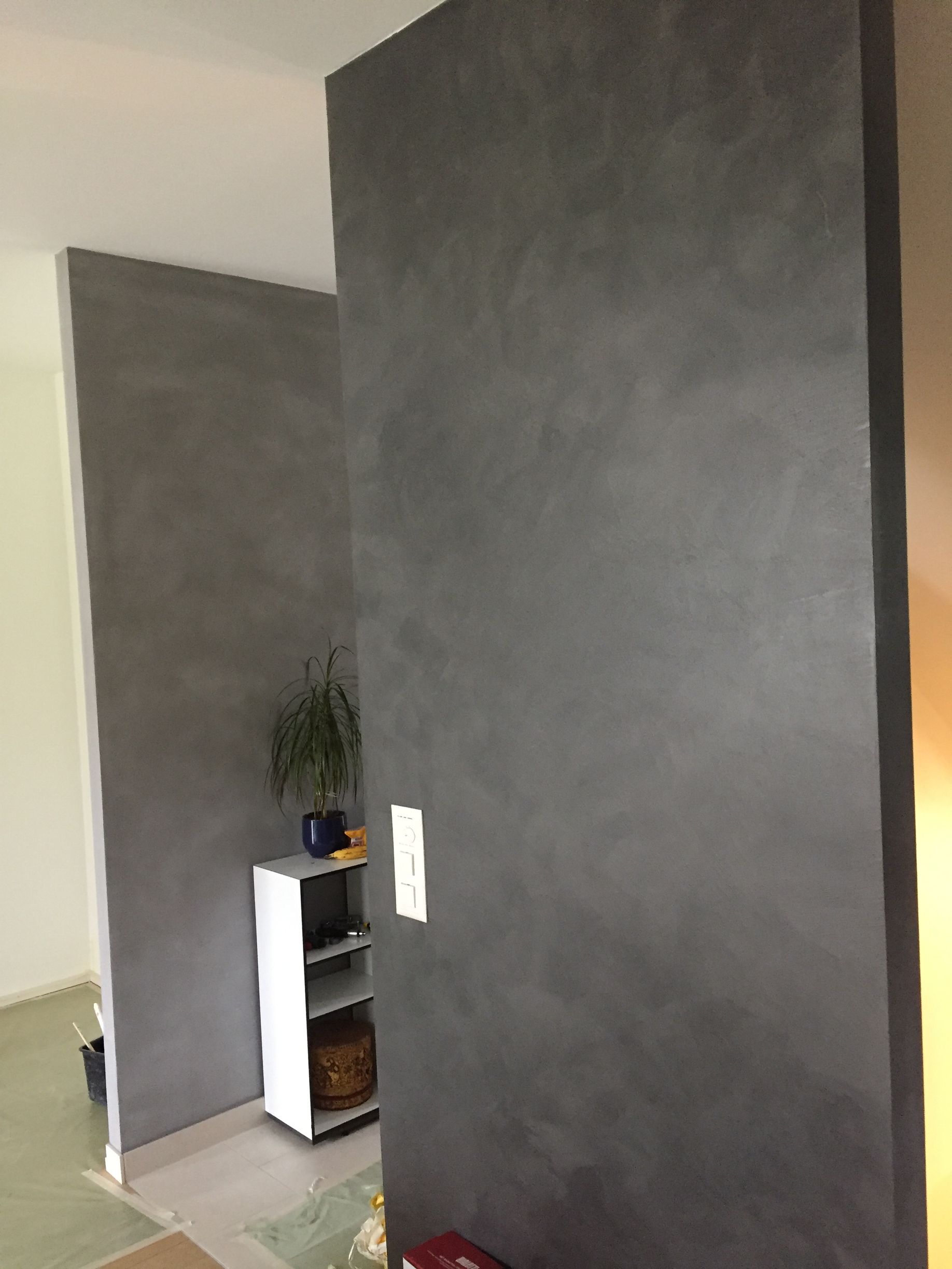 Couloir intérieur avec des murs texturés gris foncé, une étagère blanche et une petite plante près d'une porte.