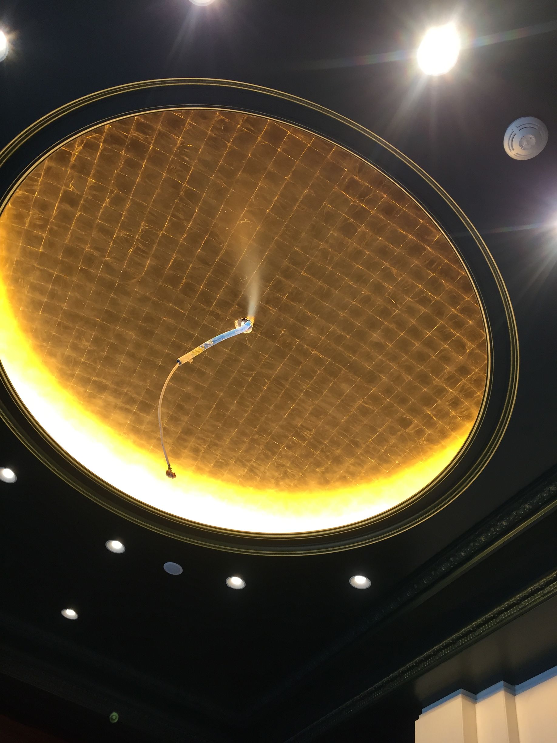 Plafond orné d'un luminaire circulaire lumineux et de moulures sombres.