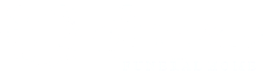 A white background with a few lines on it