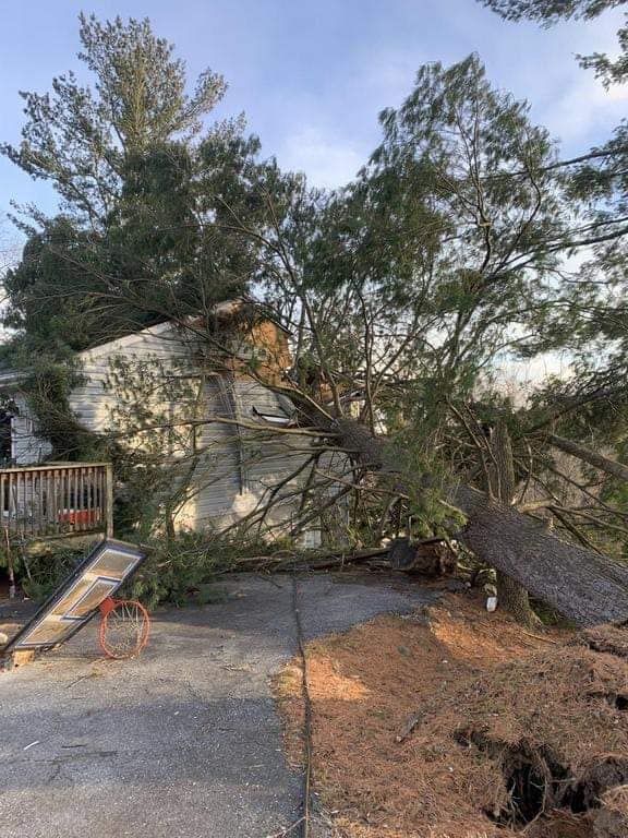 A large tree has fallen on top of a house.