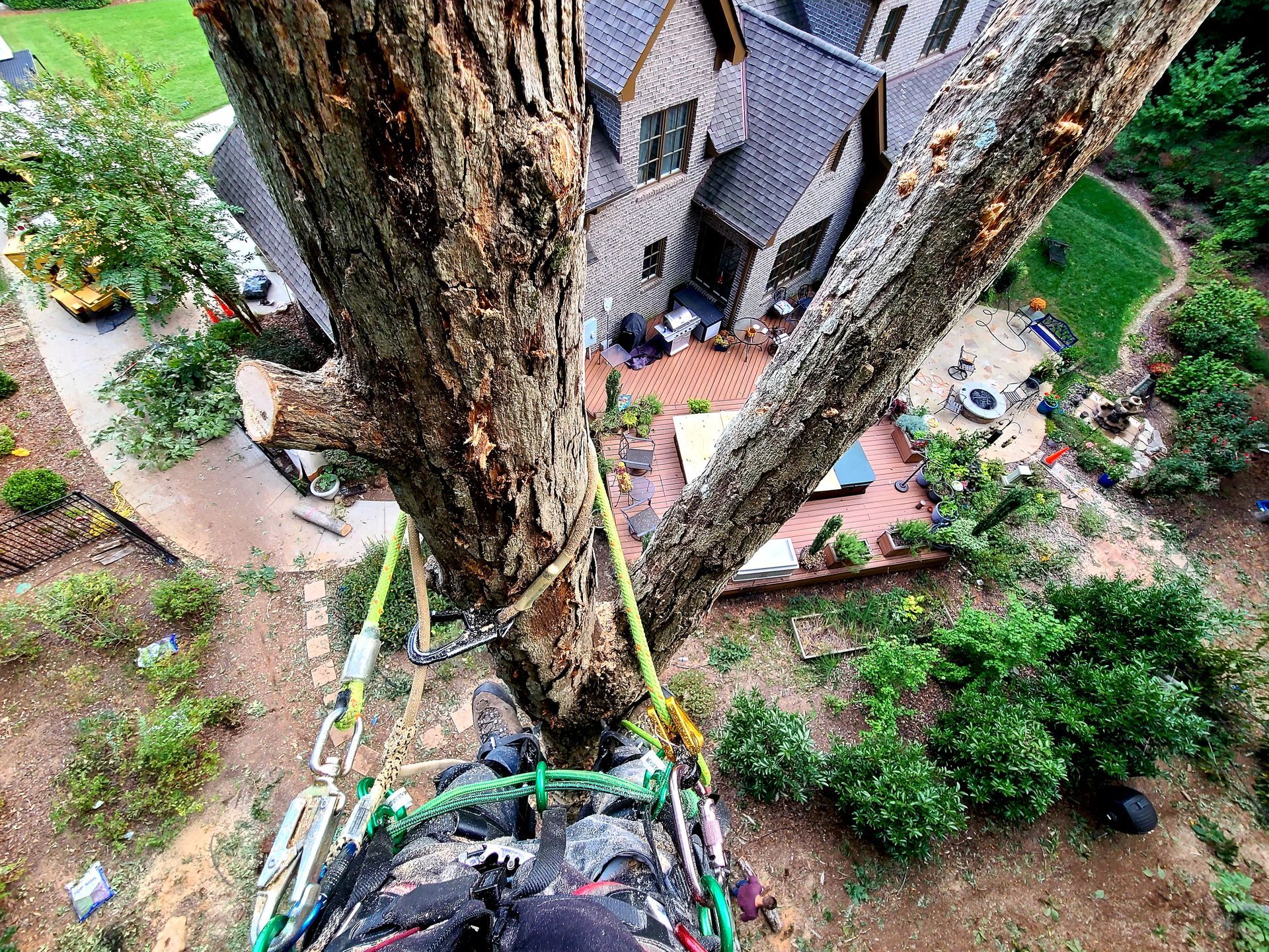 Baldwin County's Tree Removal Co.