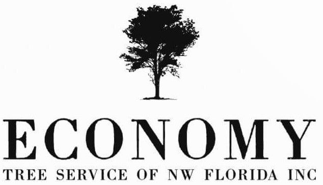 Tree Removal Lillian, AL