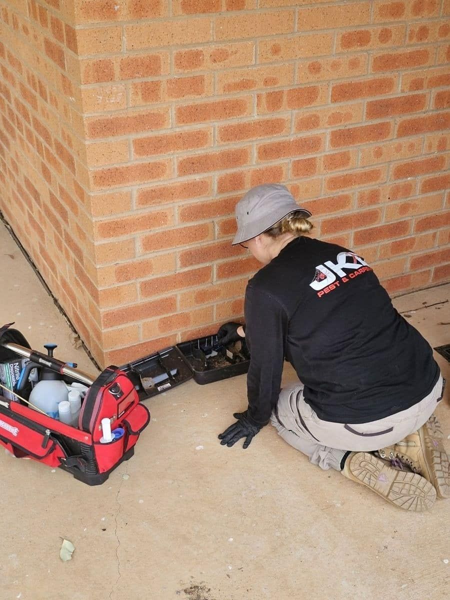 A Woman Wearing a Jks Shirt is Kneeling Down in Front of a Brick Wall — JKD Pest & Carpentry In Wellington, NSW