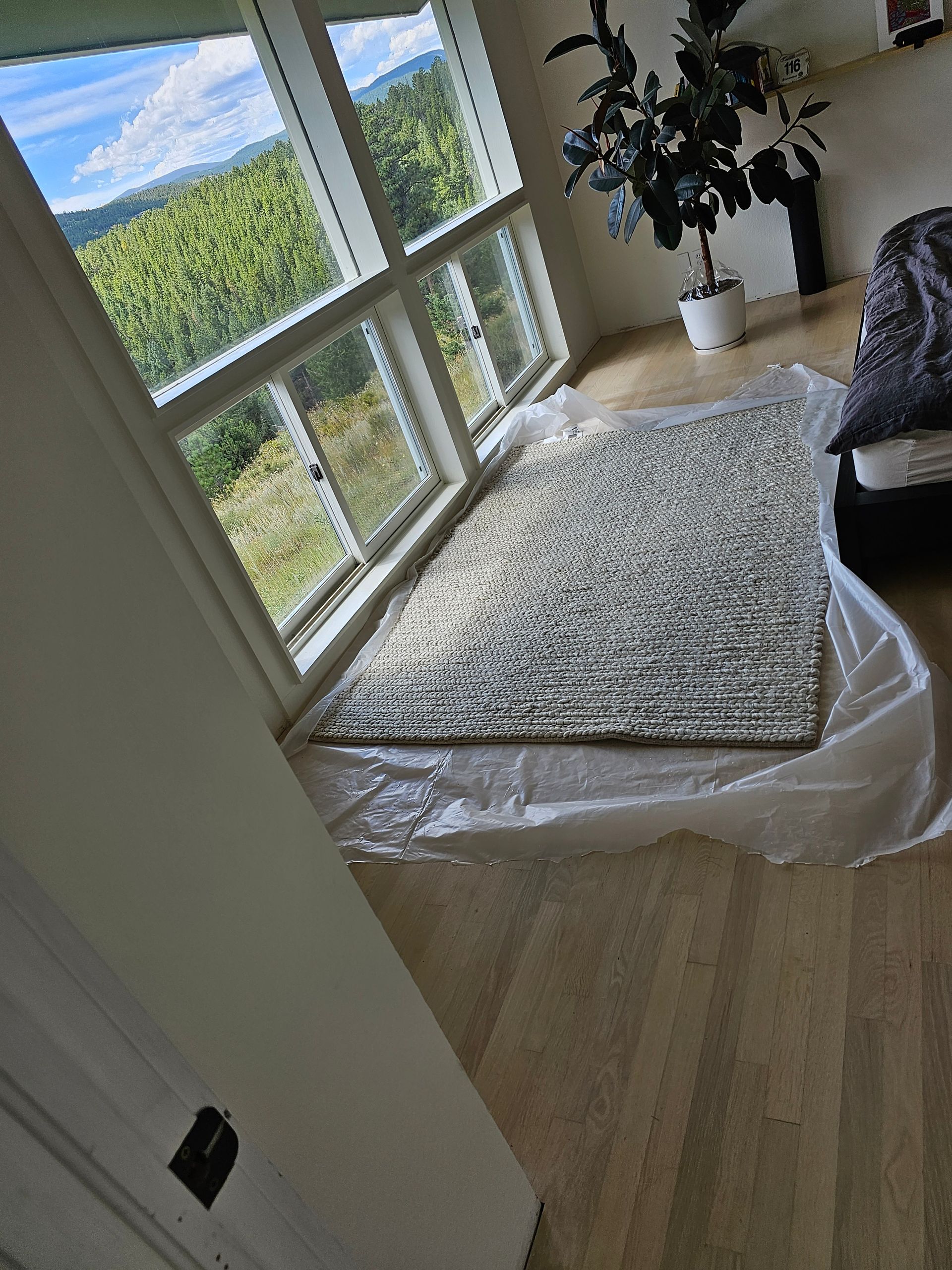 Rug Cleaning Boulder