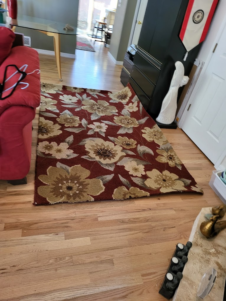 Rug Cleaning Longmont