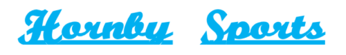 A blue logo for hornby sports on a white background