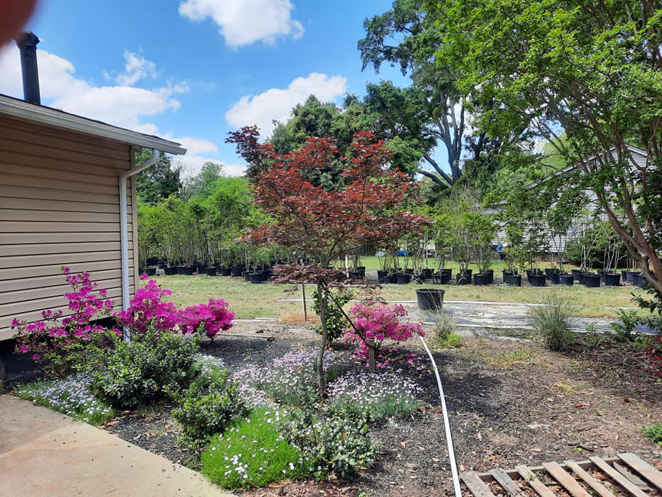 Landscaping Spartanburg, SC Sunburst Nursery & Landscape