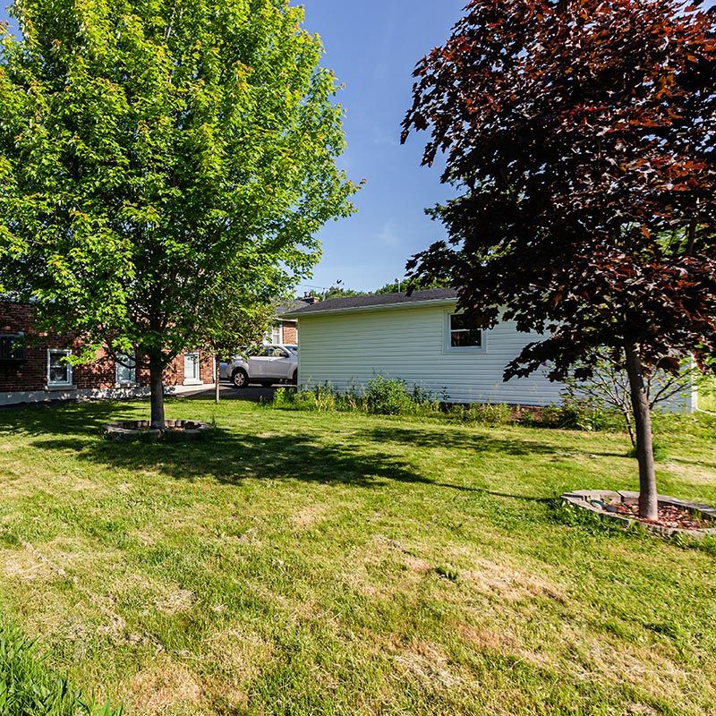 Backyard Trees — Spartanburg, SC — Sunburst Nursery & Landscape Inc.