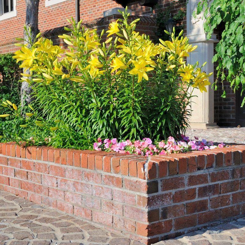 Brick Pavers And Flower Decorations — Spartanburg, SC — Sunburst Nursery & Landscape Inc.