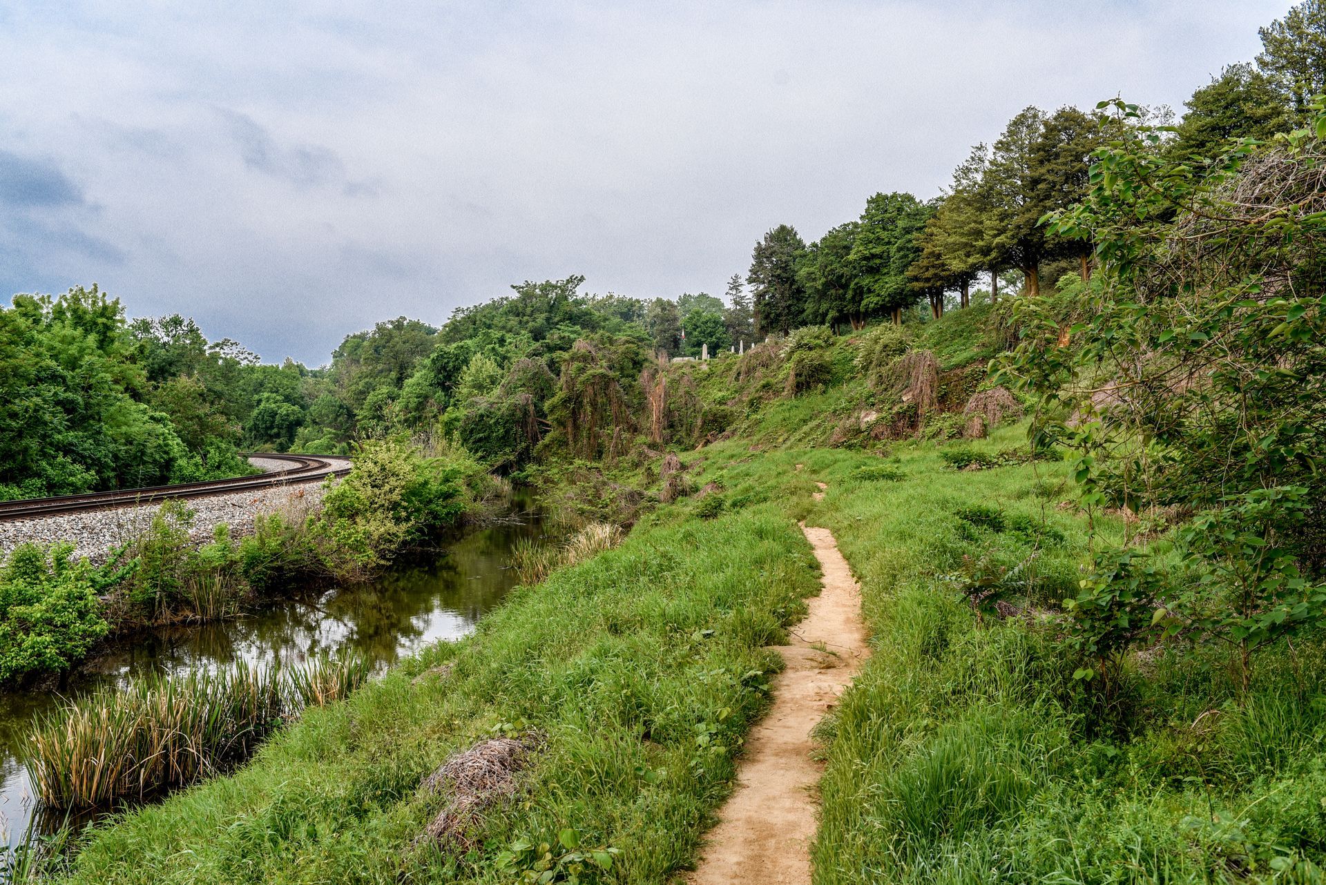 A dirt path going through a grassy area next to a river.