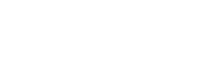 A white Xtra Factors logo