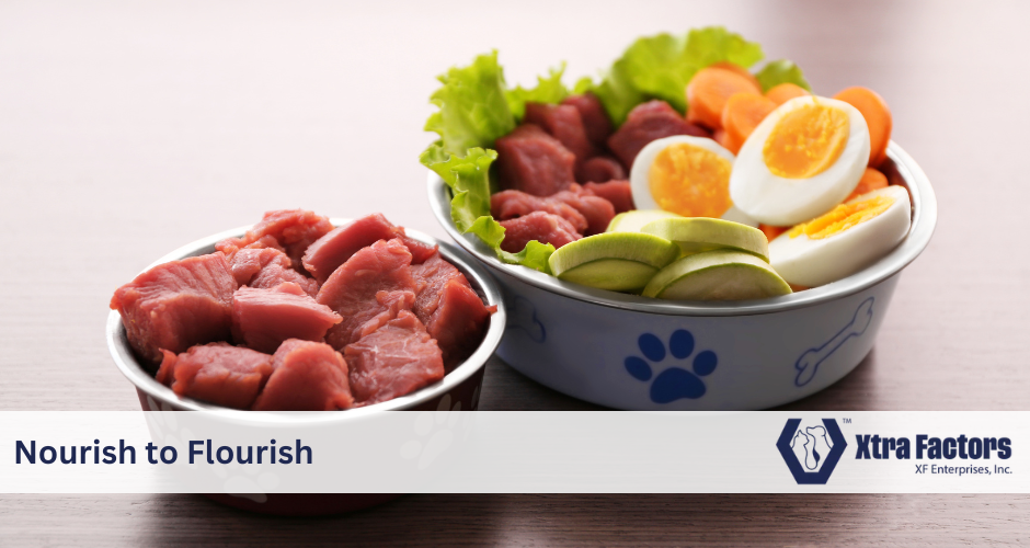 Nourish to Flourish: How Nutrition Shapes Your Pet&rsquo;s Life