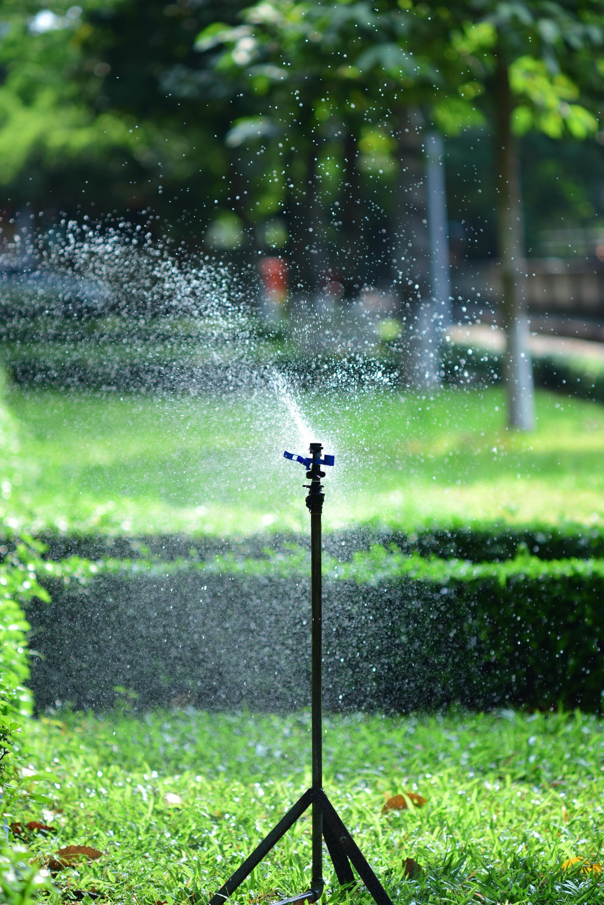Sprinkler spraying water over green grass in a park, with trees in the background.