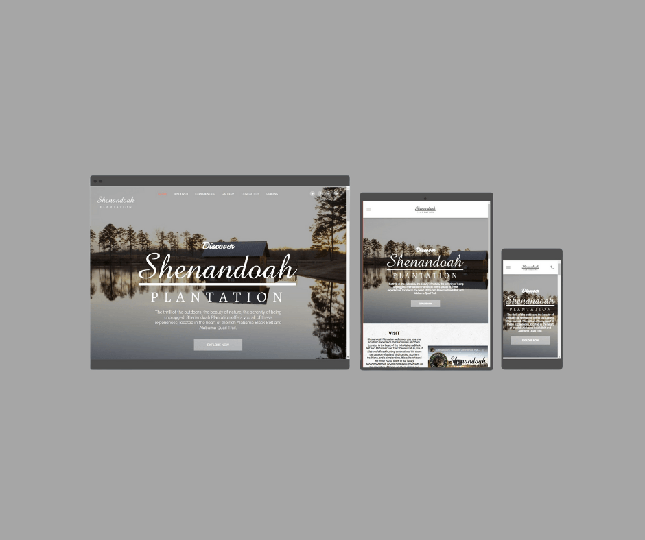 website example 1