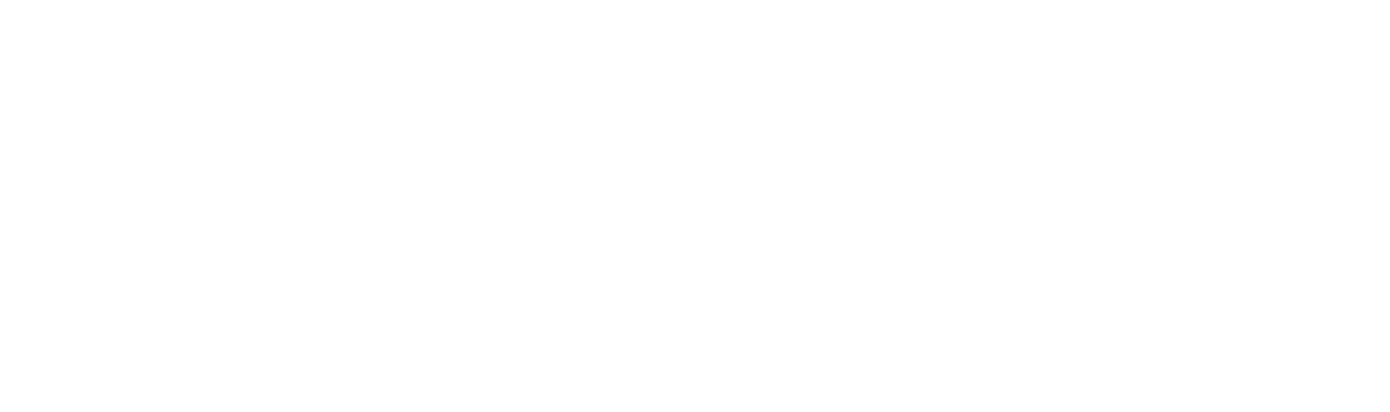Ritsema Precision logo