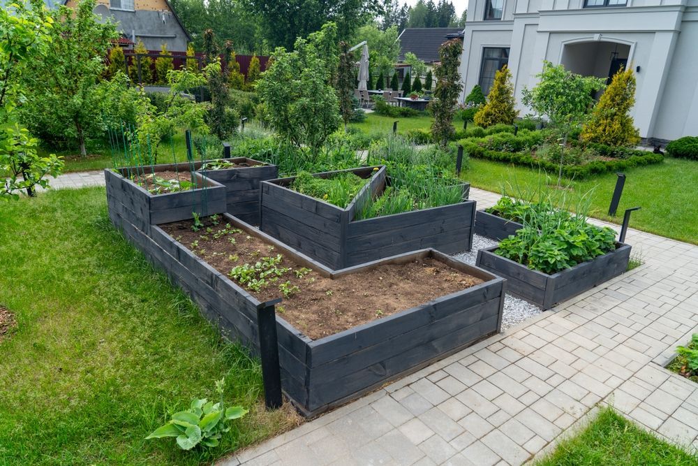Raised garden beds with dark wood frames on a brick patio, surrounded by green grass and plants.