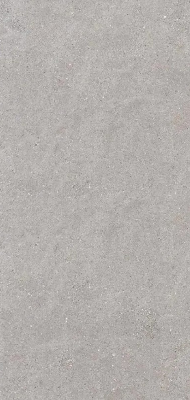 SHELL DOVE