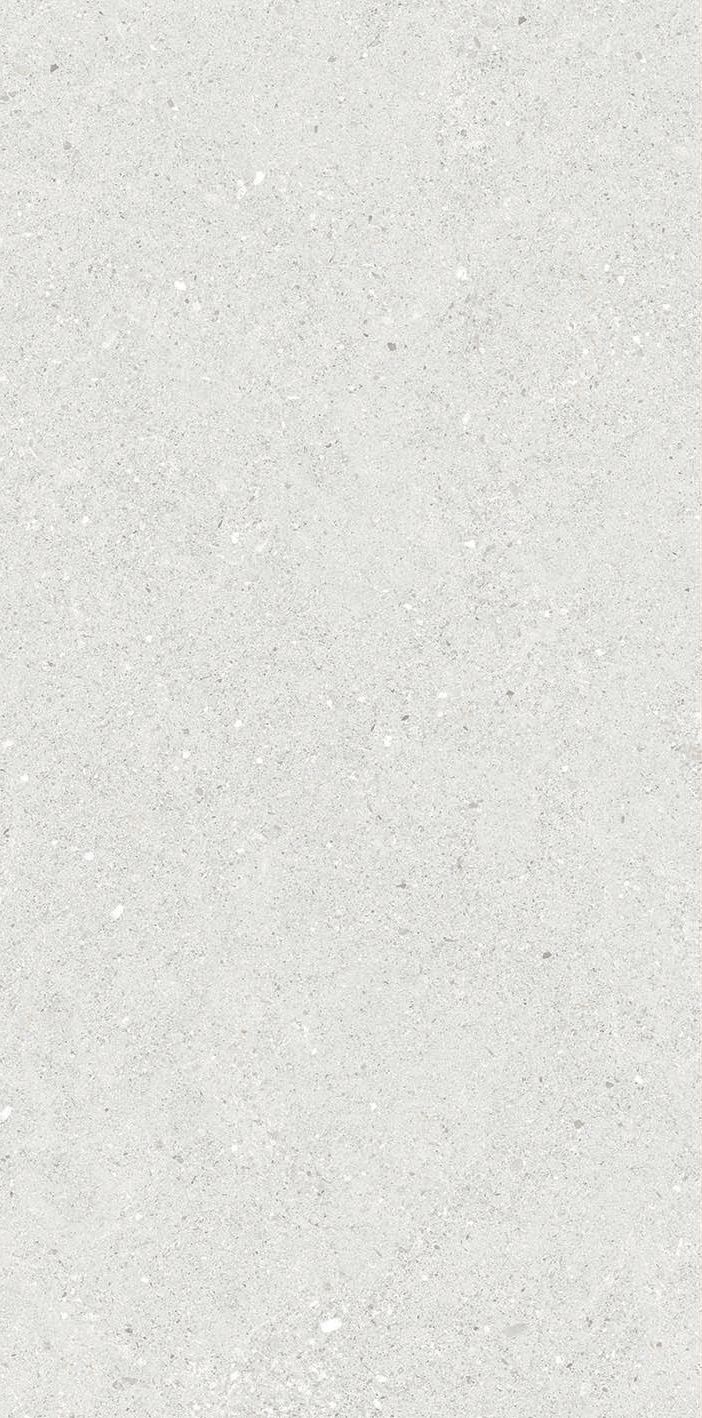 MESSEL SILVER