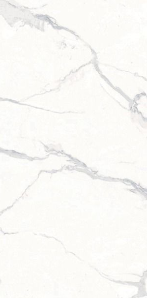 POLARIS WHITE