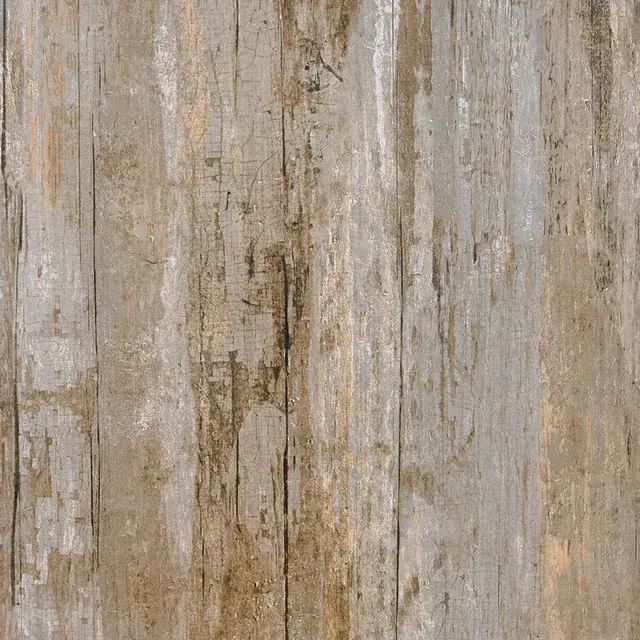 Nebraska Tundra