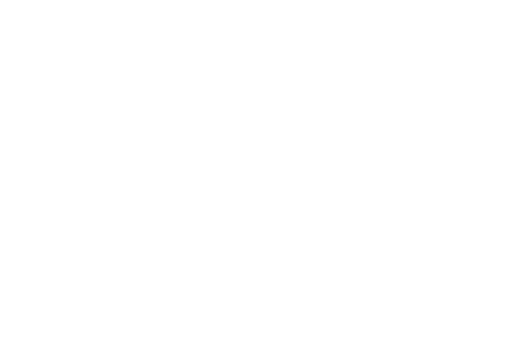 Fight The Fraud Logo White