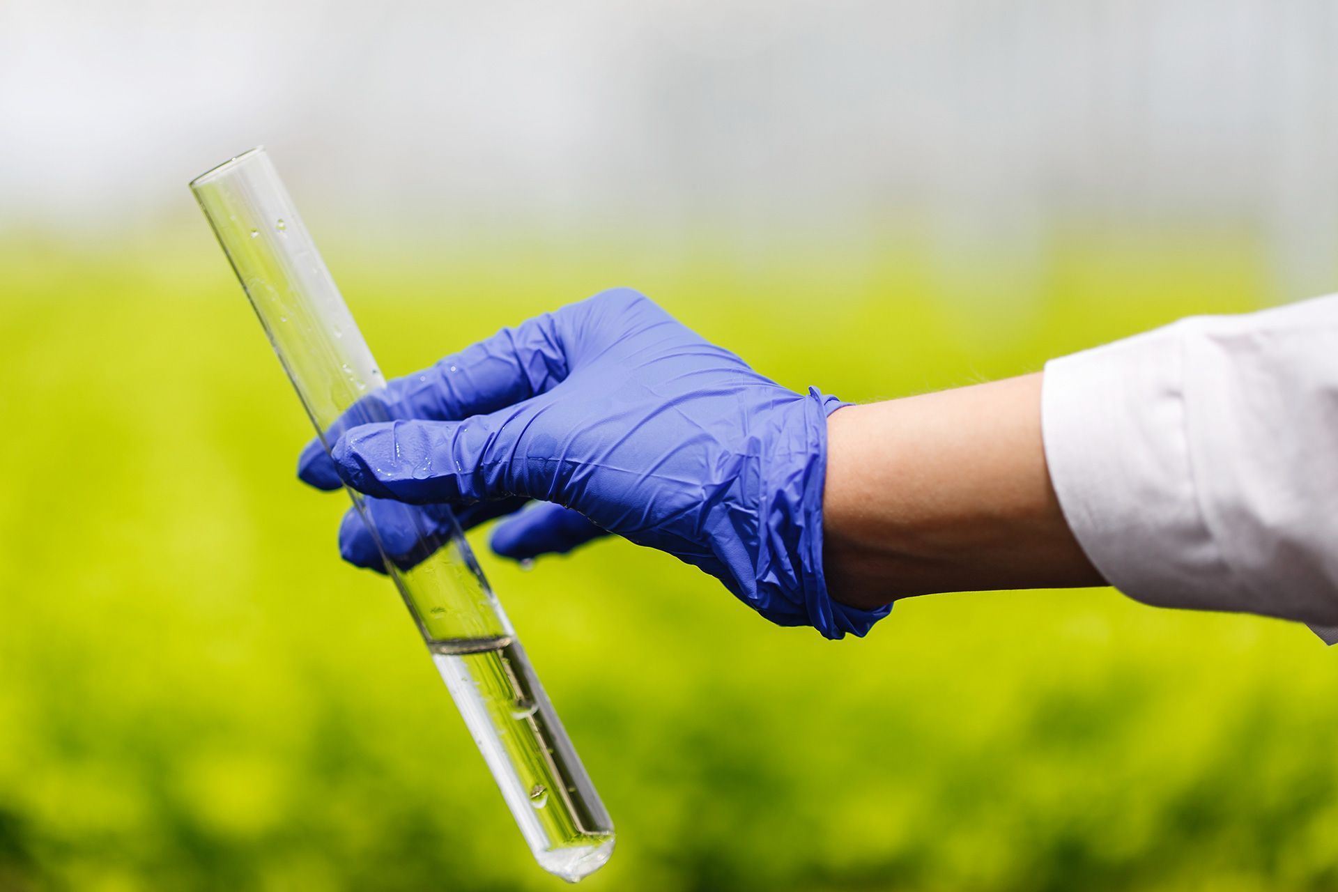 Homeowner testing residential water quality