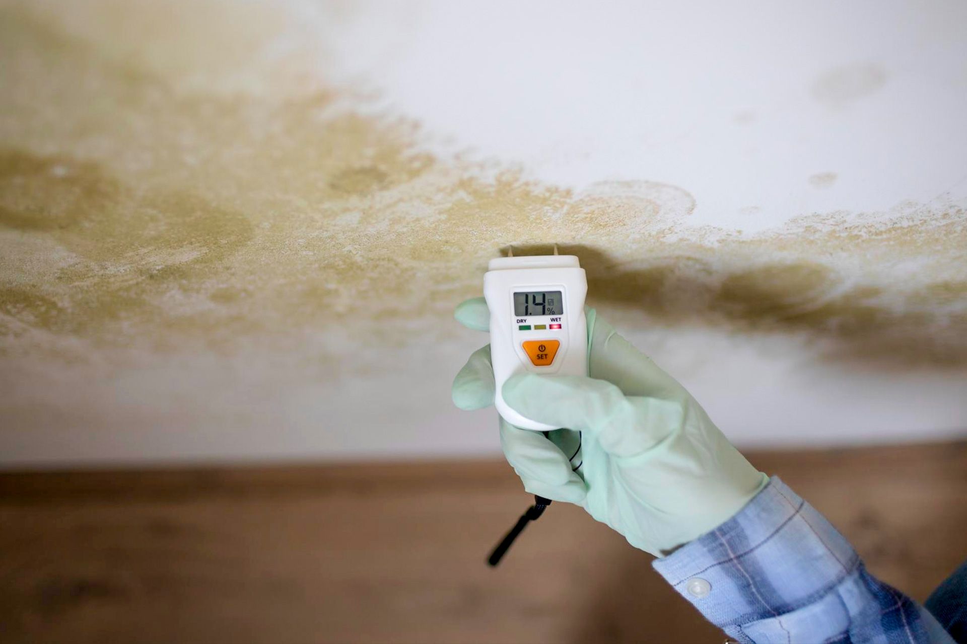 moisture signs and mold concerns inside a home