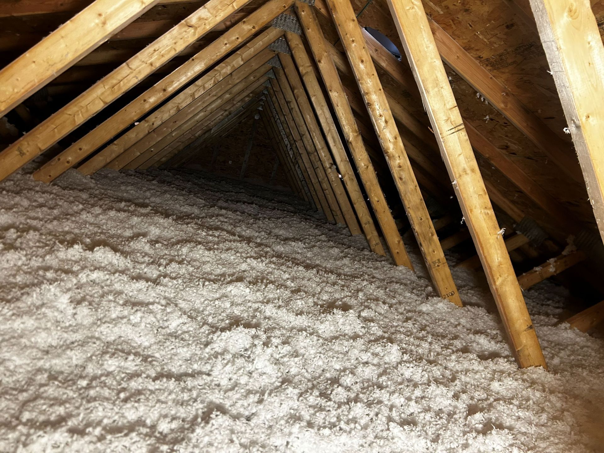 Attic rafters and roof decking viewed from above a thick layer of loose-fill white blown-in insulation.