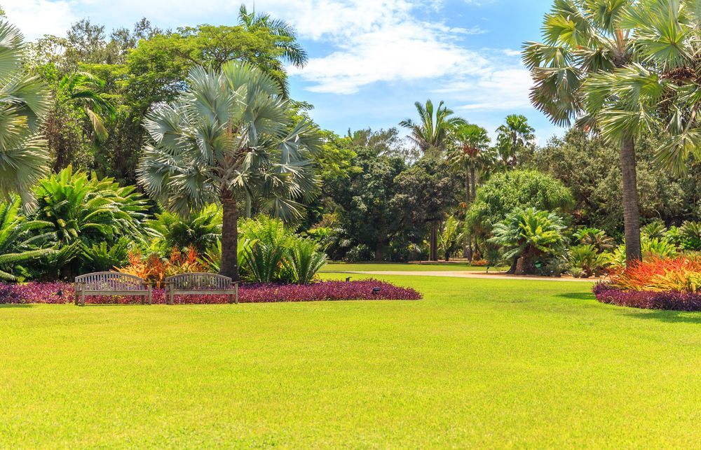 Smooth Green Grass Lawn, Trees With Supporting And Shrub In A Good Maintenance Landscape And Garden, And Gray Curve Pattern Walkway — Rural & Commercial Landscaper in Humpty Doo, NT