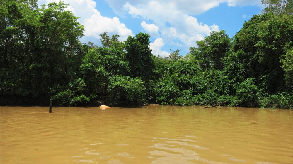 Crocodile Infested Waters In Adelaide River — Rural & Commercial Landscaper in Humpty Doo, NT