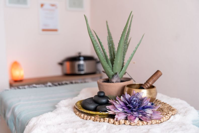 Massagetafel met aloë vera-plant, stenen, kom en bloem. Zachte verlichting, spa-achtige omgeving.