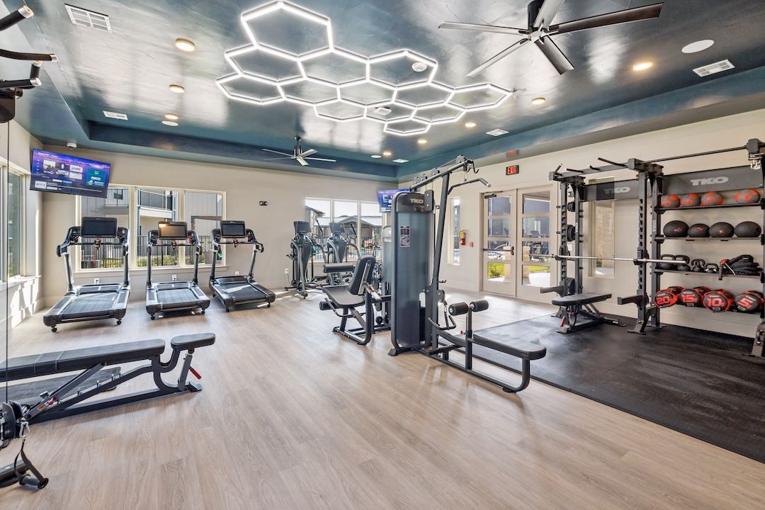 Modern gym interior with treadmills, weight machines, benches, and hexagonal ceiling lights