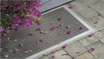 Pétales de fleurs violettes éparpillés sur un paillasson, à côté d'un buisson et d'une allée en pierre.