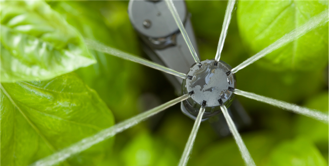 A close up of a hose spraying water on a plant.