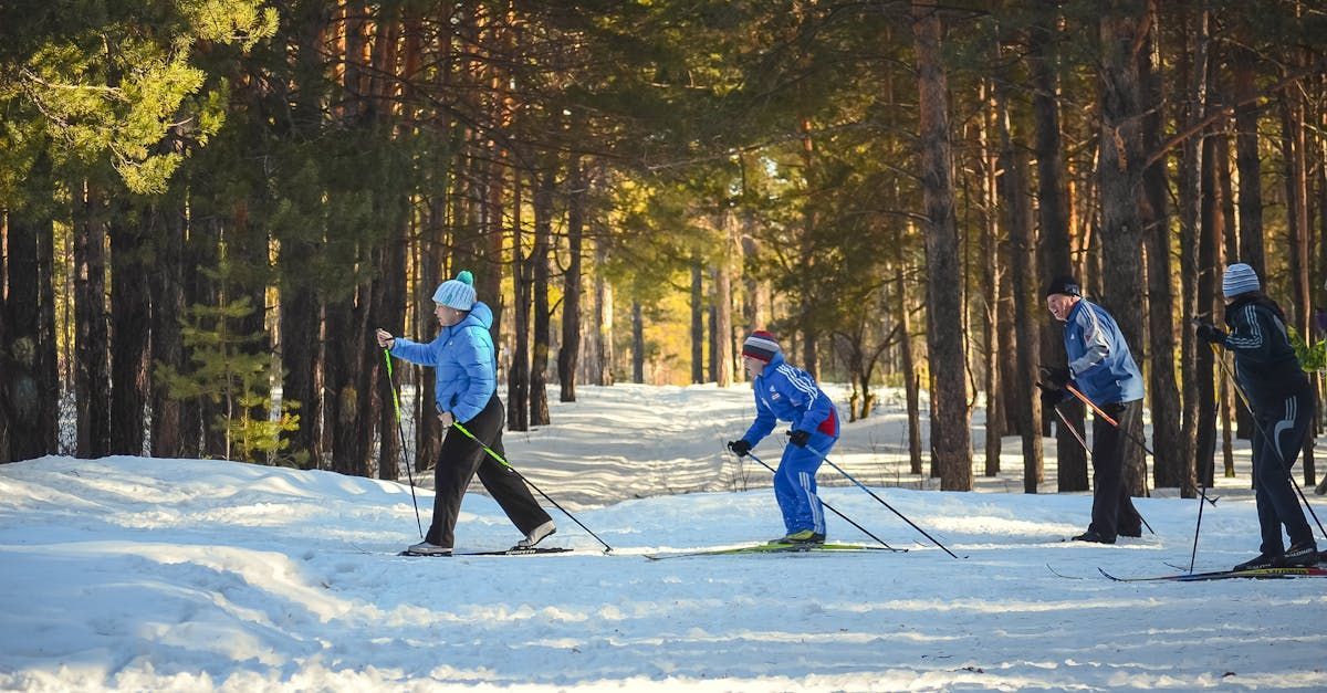 adult and child enjoying cross country skiing outside in a forest