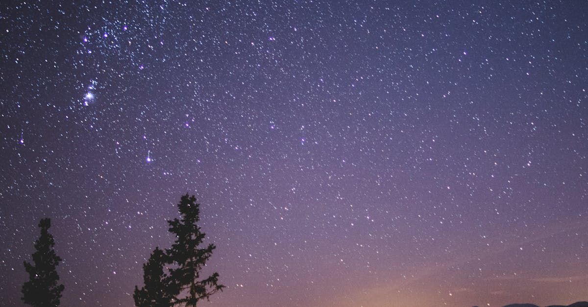A night sky filled with lots of stars and trees in the foreground.