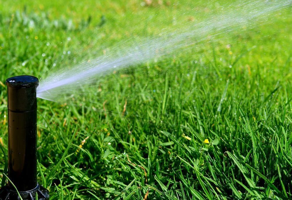 Sprinkler spraying water onto green grass.